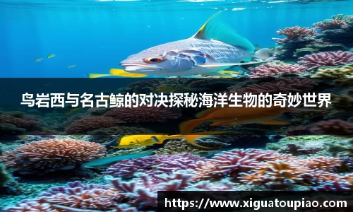 K8凯发(中国)天生赢家·一触即发