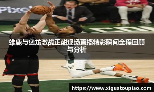 雄鹿与猛龙激战正酣现场直播精彩瞬间全程回顾与分析
