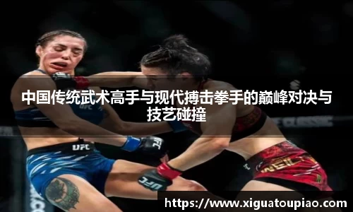 中国传统武术高手与现代搏击拳手的巅峰对决与技艺碰撞